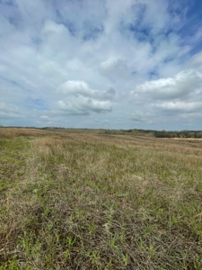 Gentry County Missouri CRP/Timber/Pond Excellent Hunting - image 5