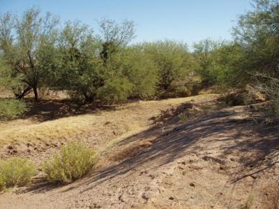 Ranch Farm land for sale Arizona, Land for sale AZ - image 4