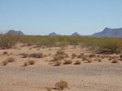 Ranch Farm land for sale Arizona, Land for sale AZ - image 7