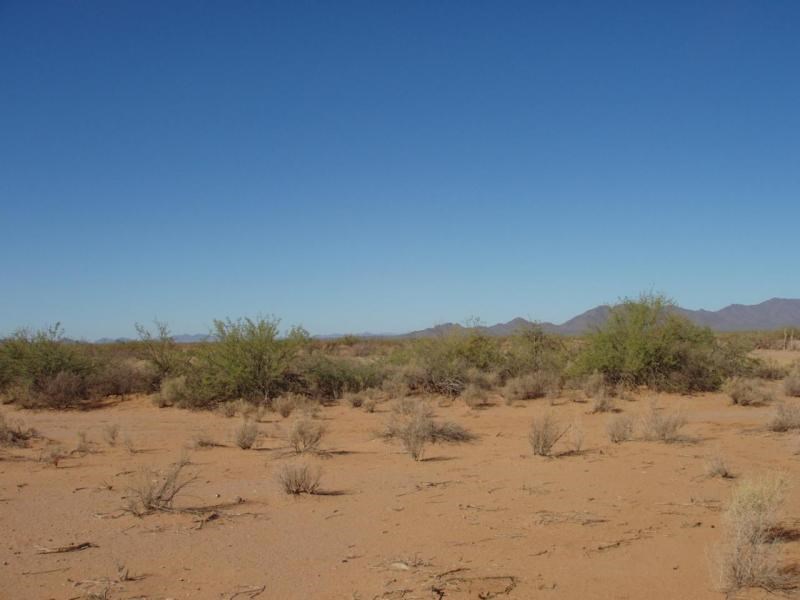 Ranch Farm land for sale Arizona, Land for sale AZ - image 2