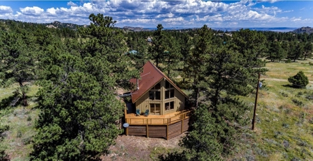Cute Colorado Mountain Home - image 2