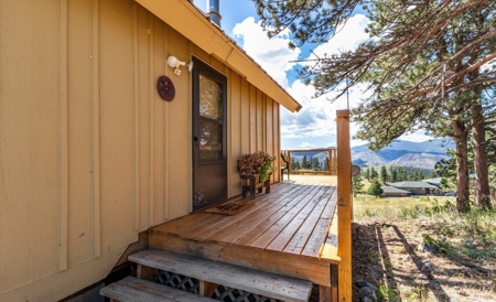 Cute Colorado Mountain Home - image 4