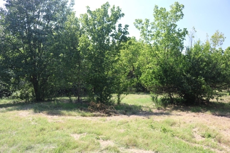 Charming Fixer Upper Home on 21.7 Aces in Peel AR - image 22