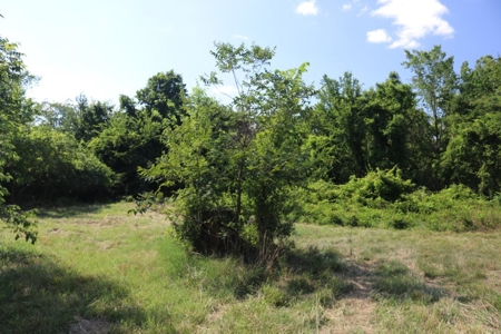 Charming Fixer Upper Home on 21.7 Aces in Peel AR - image 26