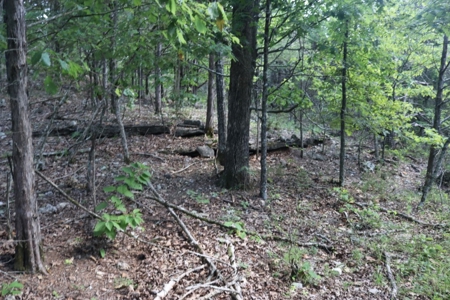 Charming Fixer Upper Home on 21.7 Aces in Peel AR - image 33