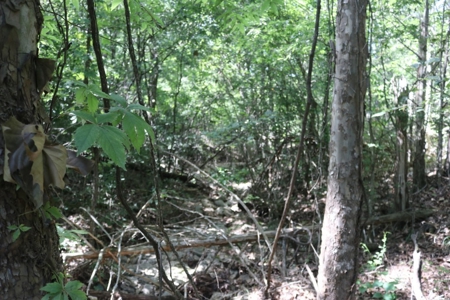 Charming Fixer Upper Home on 21.7 Aces in Peel AR - image 36