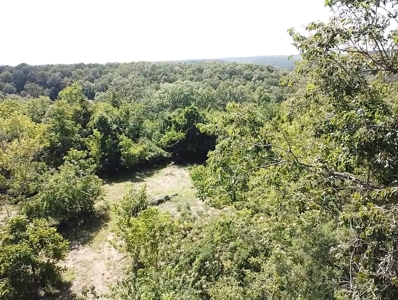 Charming Fixer Upper Home on 21.7 Aces in Peel AR - image 43