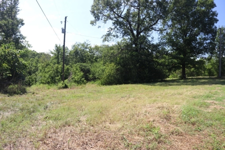 Charming Fixer Upper Home on 21.7 Aces in Peel AR - image 3