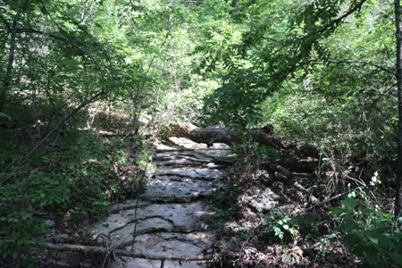 Charming Fixer Upper Home on 21.7 Aces in Peel AR - image 35