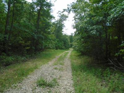 Great Hunting Area In The Missouri Ozarks. - image 3