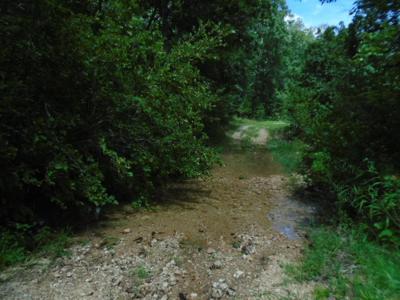 Great Hunting Area In The Missouri Ozarks. - image 7