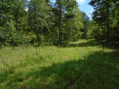 Great Hunting Area In The Missouri Ozarks. - image 5