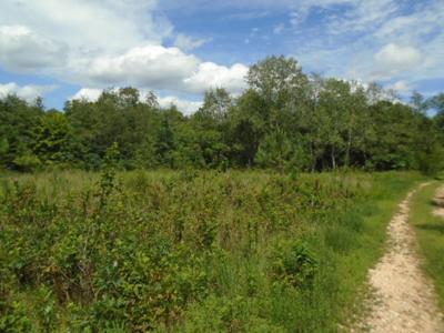 Great Hunting Area In The Missouri Ozarks. - image 4