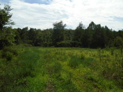 Great Hunting Area In The Missouri Ozarks. - image 9