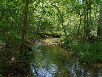 Great Hunting Area In The Missouri Ozarks. - image 8