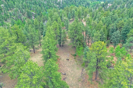Mountain Oasis In Mature Trees & Rock Formations - image 23
