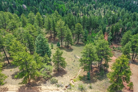 Mountain Oasis In Mature Trees & Rock Formations - image 9
