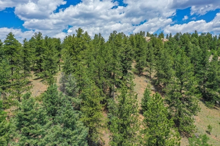 Mountain Oasis In Mature Trees & Rock Formations - image 32