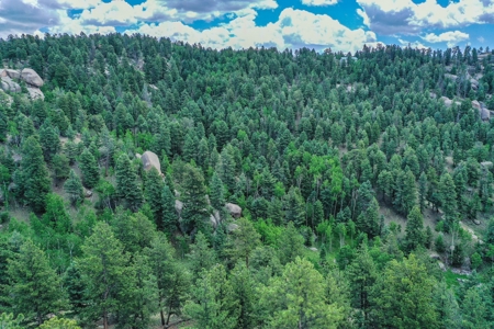 Mountain Oasis In Mature Trees & Rock Formations - image 22