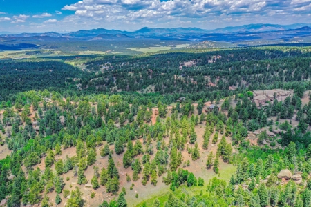 Mountain Oasis In Mature Trees & Rock Formations - image 4