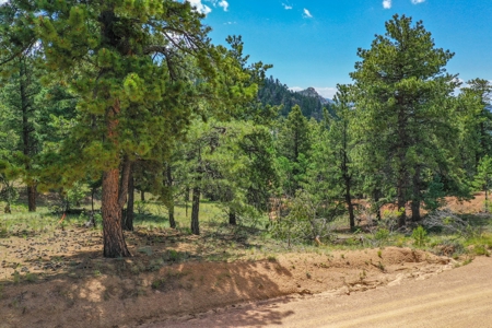 Mountain Oasis In Mature Trees & Rock Formations - image 19