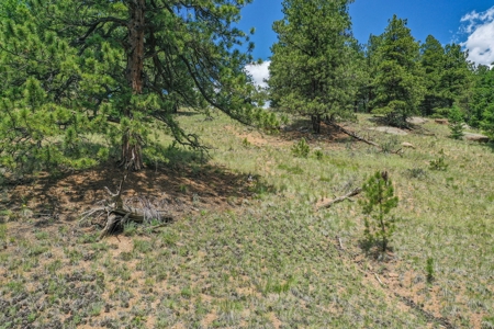 Mountain Oasis In Mature Trees & Rock Formations - image 34