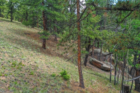 Mountain Oasis In Mature Trees & Rock Formations - image 16