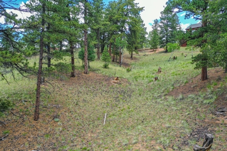 Mountain Oasis In Mature Trees & Rock Formations - image 26