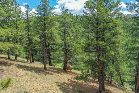 Mountain Oasis In Mature Trees & Rock Formations - image 15