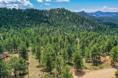 Mountain Oasis In Mature Trees & Rock Formations - image 8