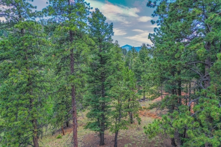 Mountain Oasis In Mature Trees & Rock Formations - image 24