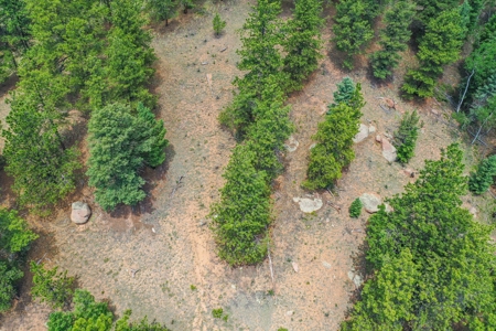 Mountain Oasis In Mature Trees & Rock Formations - image 38