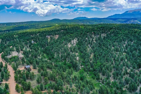 Mountain Oasis In Mature Trees & Rock Formations - image 2