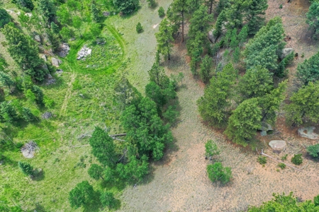 Mountain Oasis In Mature Trees & Rock Formations - image 36