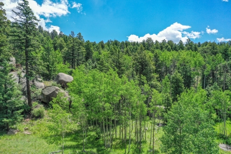 Mountain Oasis In Mature Trees & Rock Formations - image 33