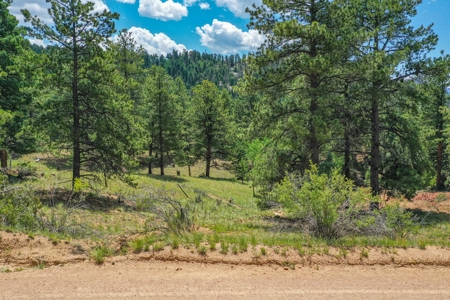 Mountain Oasis In Mature Trees & Rock Formations - image 10