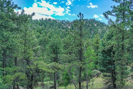Mountain Oasis In Mature Trees & Rock Formations - image 27