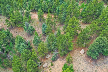Mountain Oasis In Mature Trees & Rock Formations - image 37