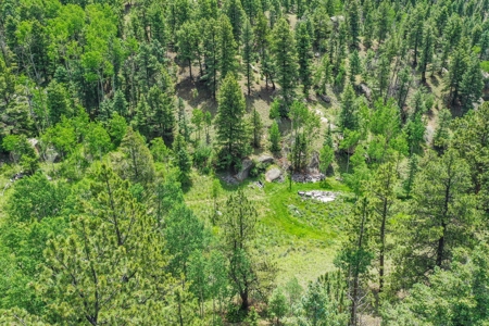 Mountain Oasis In Mature Trees & Rock Formations - image 29