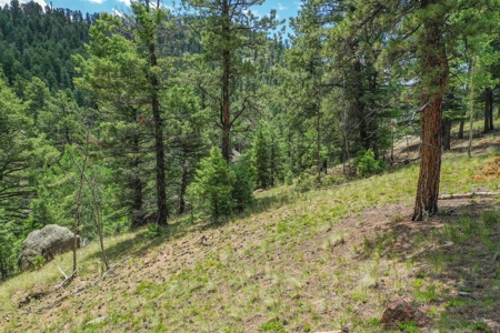 Mountain Oasis In Mature Trees & Rock Formations - image 28