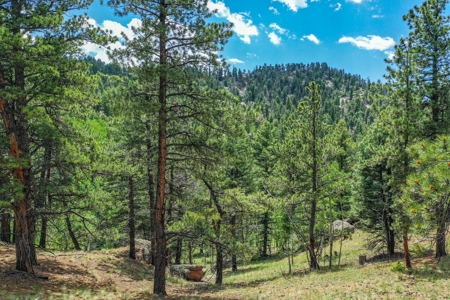 Mountain Oasis In Mature Trees & Rock Formations - image 13