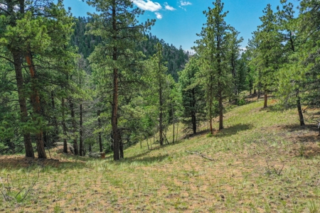 Mountain Oasis In Mature Trees & Rock Formations - image 12
