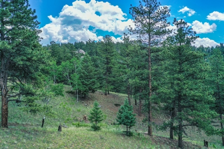 Mountain Oasis In Mature Trees & Rock Formations - image 21