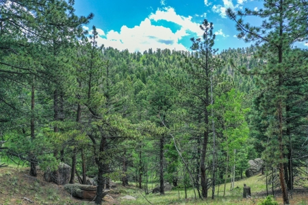 Mountain Oasis In Mature Trees & Rock Formations - image 14