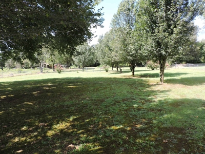 Large Home FOR SALE in Ouachita Mtns - image 7