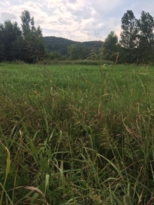 Riverfront Acreage For Sale In Guion, Arkansas - image 1
