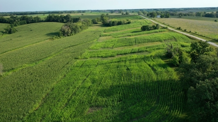 Farm For Sale - image 3