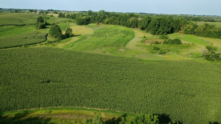 Farm For Sale - image 4