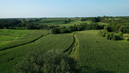 Farm For Sale - image 5