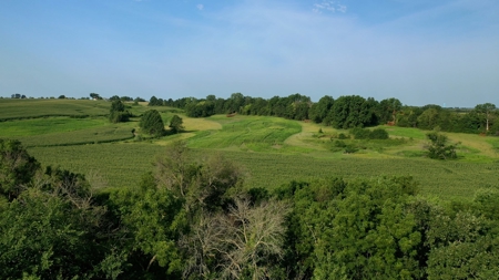 Farm For Sale - image 1